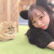 ヒメ日記 2025/09/16 12:26 投稿 ほのか 隙のあるエステ