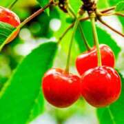 ヒメ日記 2025/05/10 09:57 投稿 音 モアグループ所沢人妻城