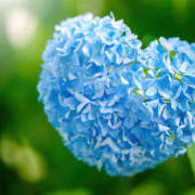 ヒメ日記 2025/05/19 16:36 投稿 音 モアグループ所沢人妻城