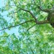 ヒメ日記 2025/05/28 14:06 投稿 音 モアグループ所沢人妻城