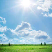 ヒメ日記 2025/06/17 09:03 投稿 音 モアグループ所沢人妻城