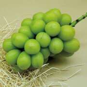 ヒメ日記 2025/09/16 13:18 投稿 音 モアグループ所沢人妻城