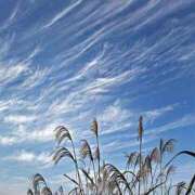 ヒメ日記 2025/09/30 13:21 投稿 音 モアグループ所沢人妻城