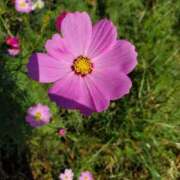 ヒメ日記 2025/10/25 08:42 投稿 音 モアグループ所沢人妻城