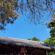 ヒメ日記 2025/10/28 14:33 投稿 音 モアグループ所沢人妻城