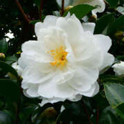 ヒメ日記 2025/10/28 14:36 投稿 音 モアグループ所沢人妻城