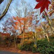 ヒメ日記 2025/11/12 12:06 投稿 音 モアグループ所沢人妻城