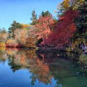 ヒメ日記 2025/11/18 07:27 投稿 音 モアグループ所沢人妻城