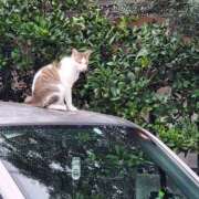 ヒメ日記 2025/12/11 10:57 投稿 音 モアグループ所沢人妻城