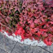 音 出勤♪ モアグループ所沢人妻城