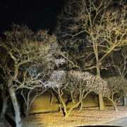 ヒメ日記 2026/02/19 08:51 投稿 音 モアグループ所沢人妻城