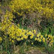 ヒメ日記 2026/03/25 13:27 投稿 音 モアグループ所沢人妻城