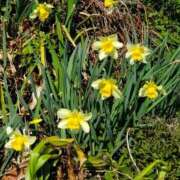 ヒメ日記 2026/03/27 15:51 投稿 音 モアグループ所沢人妻城