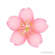 ヒメ日記 2026/03/28 10:42 投稿 音 モアグループ所沢人妻城