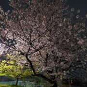 ヒメ日記 2026/04/06 08:51 投稿 音 モアグループ所沢人妻城