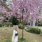 あい【高山出発】 こんにちは☀️ Cat's高山店