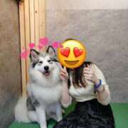 ヒメ日記 2025/05/17 17:52 投稿 MIKURU ハイエンド東京