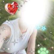 ヒメ日記 2025/08/10 16:42 投稿 SHIERI ハイエンド東京