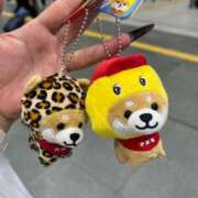 ヒメ日記 2025/05/22 21:03 投稿 のあ ルーフ福井