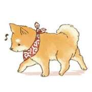 ヒメ日記 2025/09/09 03:51 投稿 のあ ルーフ福井