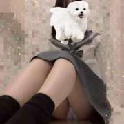 ヒメ日記 2025/07/04 12:20 投稿 しずく THE ESUTE HOUSE 柴田