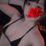 ヒメ日記 2025/08/01 16:36 投稿 しずく THE ESUTE HOUSE 柴田