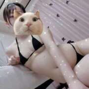 ヒメ日記 2025/08/07 10:30 投稿 しずく THE ESUTE HOUSE 柴田