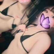 ヒメ日記 2026/09/12 09:33 投稿 しずく THE ESUTE HOUSE 柴田