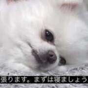 ヒメ日記 2025/12/07 14:26 投稿 あゆ THE ESUTE HOUSE 柴田