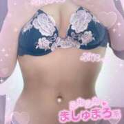 ヒメ日記 2024/12/21 10:14 投稿 はずき マリン熊本本店