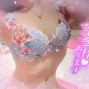 ヒメ日記 2024/12/21 19:34 投稿 はずき マリン熊本本店