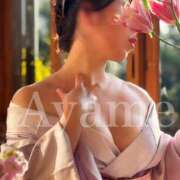 ヒメ日記 2025/02/19 09:27 投稿 紫あやめ シャトーペトラ