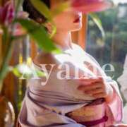 ヒメ日記 2025/03/30 13:58 投稿 紫あやめ シャトーペトラ