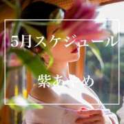 ヒメ日記 2025/04/28 15:00 投稿 紫あやめ シャトーペトラ