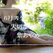 ヒメ日記 2025/05/20 19:03 投稿 紫あやめ シャトーペトラ