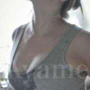 ヒメ日記 2025/07/05 08:55 投稿 紫あやめ シャトーペトラ