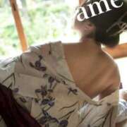 ヒメ日記 2025/07/25 09:09 投稿 紫あやめ シャトーペトラ