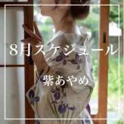 ヒメ日記 2025/07/26 22:32 投稿 紫あやめ シャトーペトラ