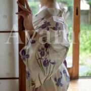 ヒメ日記 2025/08/31 21:27 投稿 紫あやめ シャトーペトラ