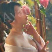 ヒメ日記 2025/09/10 22:31 投稿 紫あやめ シャトーペトラ