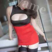 ヒメ日記 2025/09/20 09:07 投稿 紫あやめ シャトーペトラ