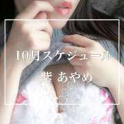 ヒメ日記 2025/09/25 16:11 投稿 紫あやめ シャトーペトラ