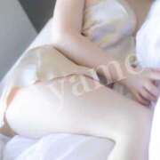 ヒメ日記 2025/10/23 09:01 投稿 紫あやめ シャトーペトラ