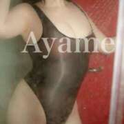 ヒメ日記 2025/10/27 23:03 投稿 紫あやめ シャトーペトラ