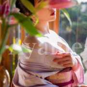 ヒメ日記 2025/12/31 23:12 投稿 紫あやめ シャトーペトラ