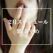 ヒメ日記 2026/01/29 19:31 投稿 紫あやめ シャトーペトラ