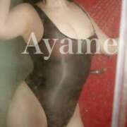 ヒメ日記 2026/02/21 09:14 投稿 紫あやめ シャトーペトラ