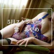 ヒメ日記 2026/04/26 08:24 投稿 紫あやめ シャトーペトラ