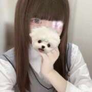 ヒメ日記 2025/05/10 18:56 投稿 ねむり コンカフェ×オナクラ あいこねくと