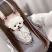 ヒメ日記 2025/10/01 22:13 投稿 ねむり コンカフェ×オナクラ あいこねくと